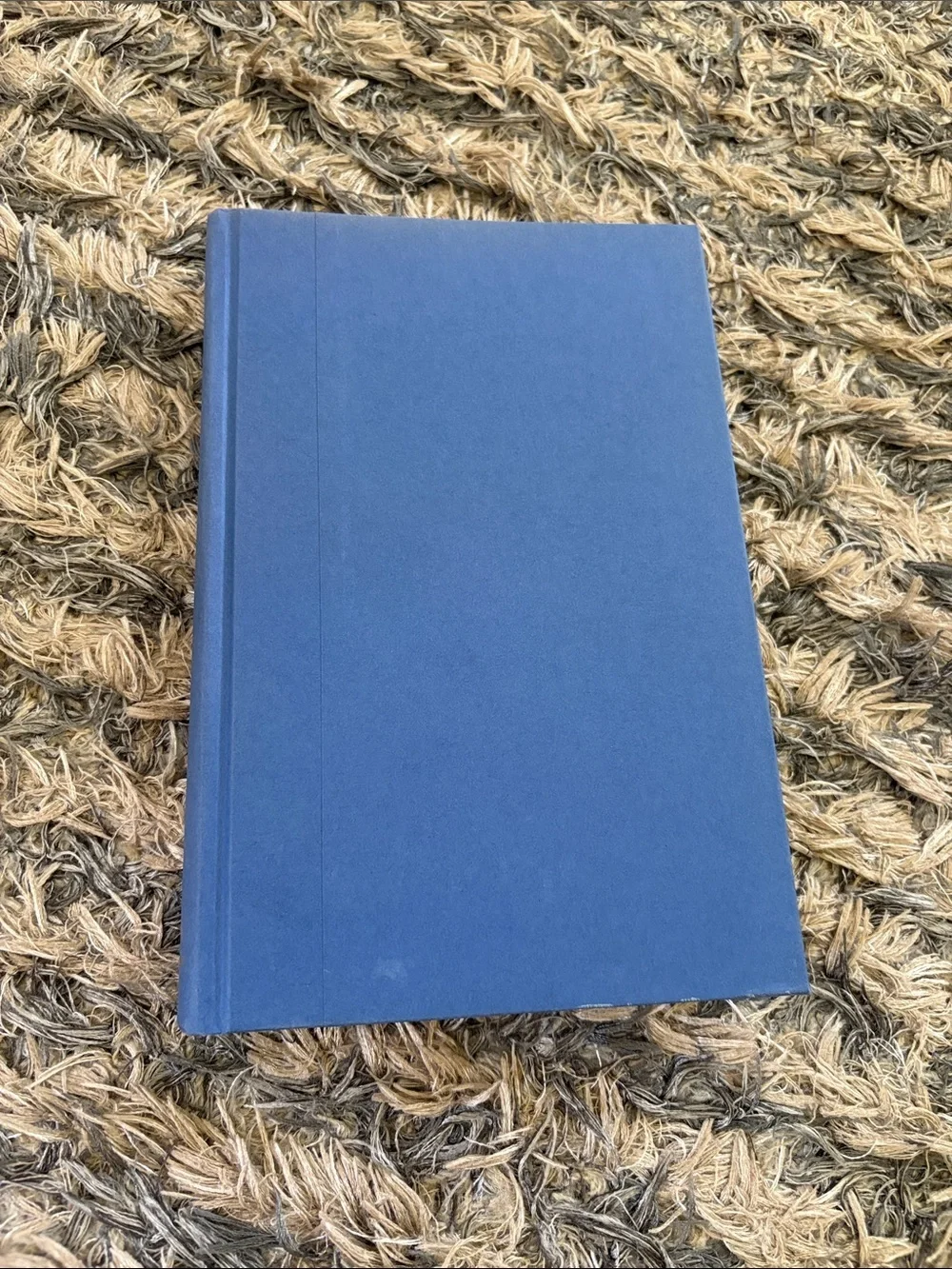 Novel Book “A Perfect Life